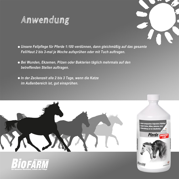 BioFarm Pferde Konzentrat