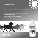 BioFarm Pferde Konzentrat