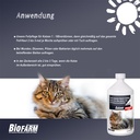 BioFarm Katze Konzentrat