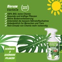 BioFarm Grünpflanzen gebrauchsfertig