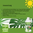 BioFarm Grünpflanzen Konzentrat