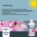 BioFarm Zierpflanzen Konzentrat