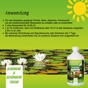 BioFarm Teichpflege Konzentrat