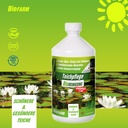 BioFarm Teichpflege Konzentrat